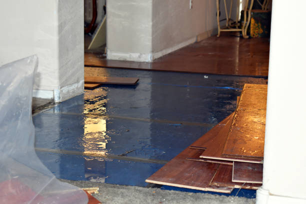 Professional Basement Flood Cleanup technician working in Hillsboro, ND